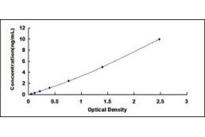 Angiopoietin 1 ELISA Kit