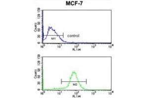 Flow Cytometry (FACS) image for anti-CCR4-NOT Transcription Complex Subunit 4 (CNOT4) antibody (ABIN2998123)