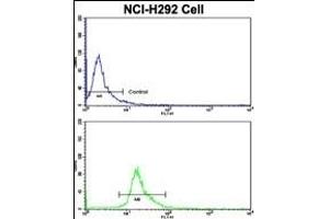 Flow cytometric analysis of NCI- cells using C Antibody (Center)(bottom histogram) compared to a negative control cell (top histogram). (PROCR antibody  (AA 104-132))