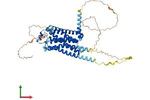 Protein Structure (PS) image for Adrenergic, beta-1-, Receptor (ADRB1) (AA 1-477) protein (His tag) (ABIN7551984)