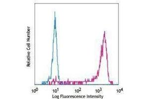 Flow Cytometry (FACS) image for anti-Interleukin 8 (IL8) antibody (Alexa Fluor 488) (ABIN2657550) (IL-8 antibody  (Alexa Fluor 488))