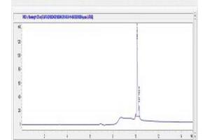 Image no. 1 for BCL2 Binding Component 3 (BBC3) peptide (Ovalbumin) (ABIN5666319) (BCL2 Binding Component 3 (BBC3) peptide (Ovalbumin))