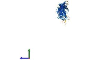 AlphaFold protein structure predicition of Human Recombinant SESTD1 Protein, UniprotID Q86VW0