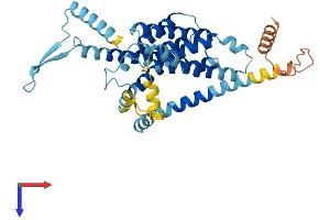Dpy-19-Like 2 Pseudogene 2 (C. Elegans) (DPY19L2P2) (AA 1-376) protein (His tag)
