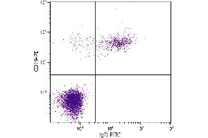 Human peripheral blood lymphocytes were stained with Mouse Anti-Human IgD-FITC. (Mouse anti-Human IgD Antibody (FITC))