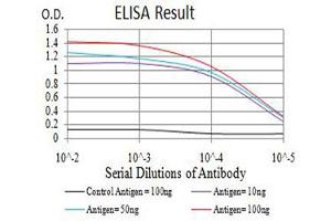 Black line: Control Antigen (100 ng),Purple line: Antigen (10 ng), Blue line: Antigen (50 ng), Red line:Antigen (100 ng) (CD56 antibody  (AA 568-708))
