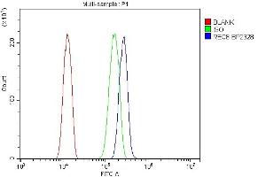 anti-REC8 Homolog (Yeast) (REC8) (AA 1-547) antibody