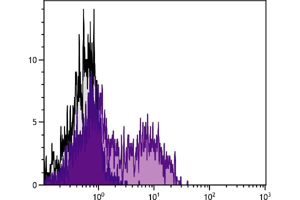 KLRG1 antibody  (FITC)