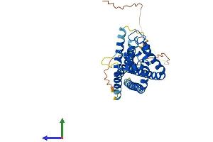 AlphaFold protein structure predicition of Mouse Recombinant Tspan10 Protein, UniprotID Q8VCF5 (TSPAN10 Protein (AA 1-331) (His tag))