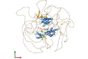 Protein Structure (PS) image for Slingshot Homolog 2 (SSH2) (AA 1-1423) protein (His tag) (ABIN7555614)