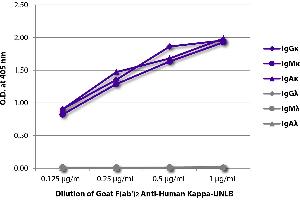 ELISA plate was coated with purified human IgGκ, IgMκ, IgAκ, IgGλ, IgMλ, and IgAλ. (Goat anti-Human Immunoglobulin kappa Chain Complex (Igk) (Chain kappa) Antibody)