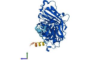 AlphaFold protein structure predicition of Human Recombinant GDI2 Protein, UniprotID P50395 (GDI2 Protein (AA 1-445) (His tag))