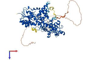 CRY1 Protein (AA 1-606) (His tag)