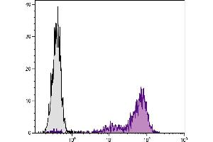 C57BL/6 mouse cytotoxic T lymphocyte cell line CTLL-2 was stained with Rat Anti-Mouse CD25-BIOT. (CD25 antibody  (Biotin))