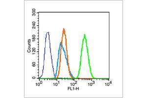 HeLa cells probed with Actin Polyclonal Antibody, unconjugated  at 1:100 dilution for 30 minutes compared to control cells (blue) and isotype control (orange) (Actin antibody  (AA 165-260))