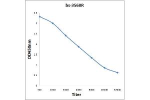 Antigen: 0. (SMC1A antibody  (AA 151-250))