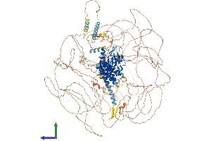 AlphaFold protein structure predicition of Human Recombinant LMTK2 Protein, UniprotID Q8IWU2 (LMTK2 Protein (AA 1-1503) (His tag))