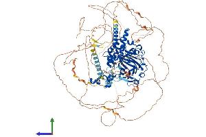 AlphaFold protein structure predicition of Human Recombinant PHF8 Protein, UniprotID Q9UPP1