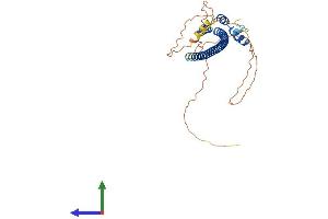 Protein Structure (PS) image for Testis Expressed 13B (TEX13B) (AA 1-312) protein (His tag) (ABIN7544937)