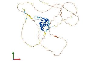 Protein Structure (PS) image for Forkhead Box F1 (FOXF1) (AA 1-378) protein (His tag) (ABIN7557659)