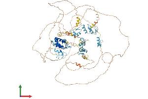 AlphaFold protein structure predicition of Human Recombinant BNC1 Protein, UniprotID Q01954