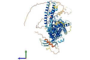 AlphaFold protein structure predicition of Human Recombinant TRPV3 Protein, UniprotID Q8NET8 (TRPV3 Protein (AA 1-790) (His tag))