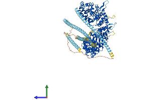 AlphaFold protein structure predicition of Human Recombinant USO1 Protein, UniprotID O60763 (USO1 Protein (AA 1-962) (His tag))