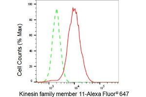 Flow cytometric analysis of Kinesin family member 11 expression in HAP-1 cells using Kinesin family member 11 antibody (ABIN7799200), 1:2,000).