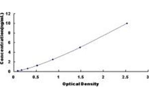 Typical standard curve (SRSF2 ELISA Kit)