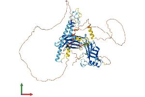 AlphaFold protein structure predicition of Mouse Recombinant Sytl4 Protein, UniprotID Q9R0Q1 (SYTL4 Protein (AA 1-673) (His tag))