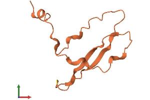 AlphaFold protein structure predicition of Mouse Recombinant Sprr2a1 Protein, UniprotID Q9CQK8 (SPRR2A Protein (AA 1-83) (Fc Tag))