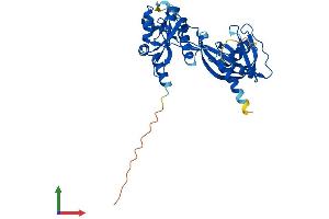AlphaFold protein structure predicition of Mouse Recombinant Nudt13 Protein, UniprotID Q8JZU0