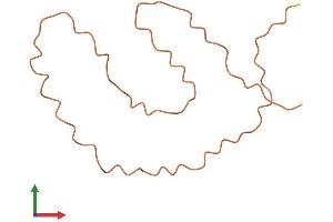 AlphaFold protein structure predicition of Human Recombinant KRTAP25-1 Protein, UniprotID Q3LHN0 (KRTAP25-1 Protein (AA 1-102) (His tag))