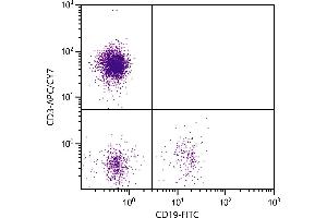 Human peripheral blood lymphocytes were stained with Mouse Anti-Human CD3-APC/CY7. (CD3 antibody  (APC-Cy7))