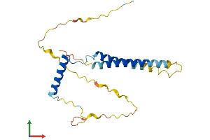 Protein Structure (PS) image for Coiled-Coil Domain Containing 28B (CCDC28B) (AA 1-200) protein (His tag) (ABIN7553093)