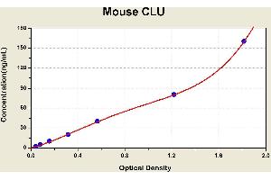 Diagramm of the ELISA kit to detect Mouse CLUwith the optical density on the x-axis and the concentration on the y-axis. (Clusterin ELISA Kit)