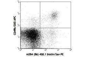 Flow Cytometry (FACS) image for anti-Natural Killer Cell Receptor 2B4 (CD244) antibody (Biotin) (ABIN2660830) (2B4 antibody  (Biotin))