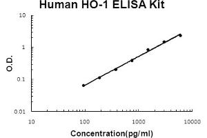 Human HO-1/HMOX1 Accusignal ELISA Kit Human HO-1/HMOX1 AccuSignal ELISA Kit standard curve.