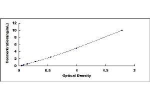 Typical standard curve (Osteoprotegerin ELISA Kit)