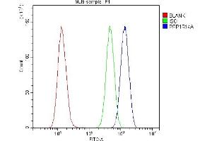 Flow Cytometry analysis of U20S cells using anti-CPI17 alpha antibody (ABIN5518865). (CPI-17 antibody  (AA 30-126))