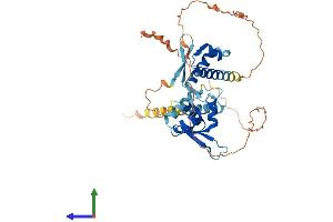 AlphaFold protein structure predicition of Human Recombinant MAGEC2 Protein, UniprotID Q9UBF1 (MAGEC2 Protein (AA 1-373) (His tag))