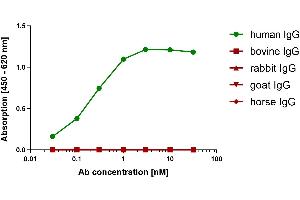 Different species IgG were coated on an ELISA plate at 100 ng. (Recombinant Mouse anti-Human IgG (Fc Region) Antibody)
