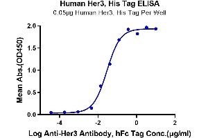 ELISA image for Receptor Tyrosine-Protein Kinase ErbB-3 (ERBB3) (AA 20-643) protein (His-Avi Tag) (ABIN7274801)