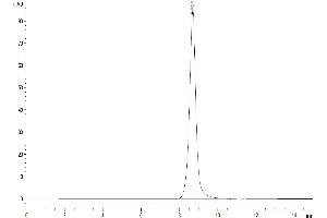 The purity of Mouse DDR1 is greater than 95 % as determined by SEC-HPLC. (DDR1 Protein (AA 22-415) (His tag))
