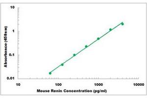 Representative Standard Curve (Renin ELISA Kit)
