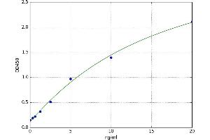 Cannabinoid Receptor 1 (CNR1) ELISA Kit