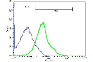 Mouse hepatocytes probed with Rabbit Anti-Talin Polyclonal Antibody,FITC Conjugated (ABIN701702) at 1:100 for 40 minutes (green)compared to control cells (blue). (TLN1 antibody  (AA 1601-1750) (FITC))