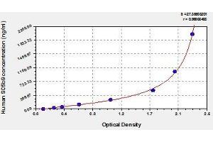 Typical standard curve (Soluble Terminal Complement Complex (sC5b-9) ELISA Kit)