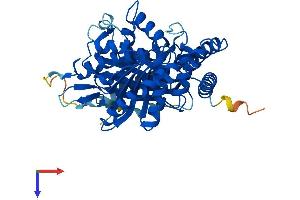 Protein Structure (PS) image for Tubulin, alpha 4a (TUBA4A) (AA 1-448) protein (His tag) (ABIN7544140)