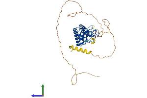 AlphaFold protein structure predicition of Human Recombinant SOWAHD Protein, UniprotID A6NJG2